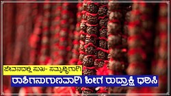 ಯಾವ ರಾಶಿಯ ಜನರು ಎಂತಹ ರುದ್ರಾಕ್ಷಿ ಧರಿಸಿದರೆ ಹೆಚ್ಚು ಲಾಭದಾಯಕ?