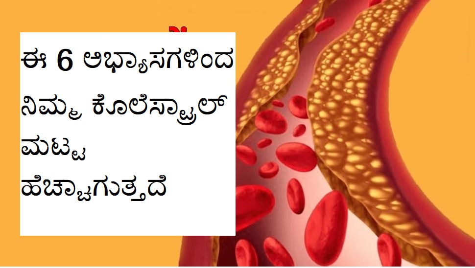 High Cholesterol Due to these 6 habits, your cholesterol level remains