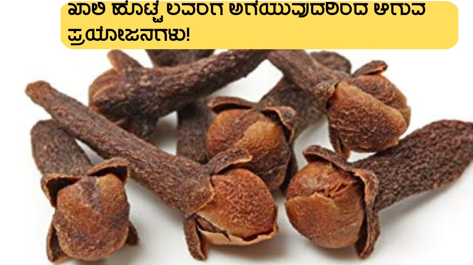 do you know these major benefits of eating clove with empty stomach in