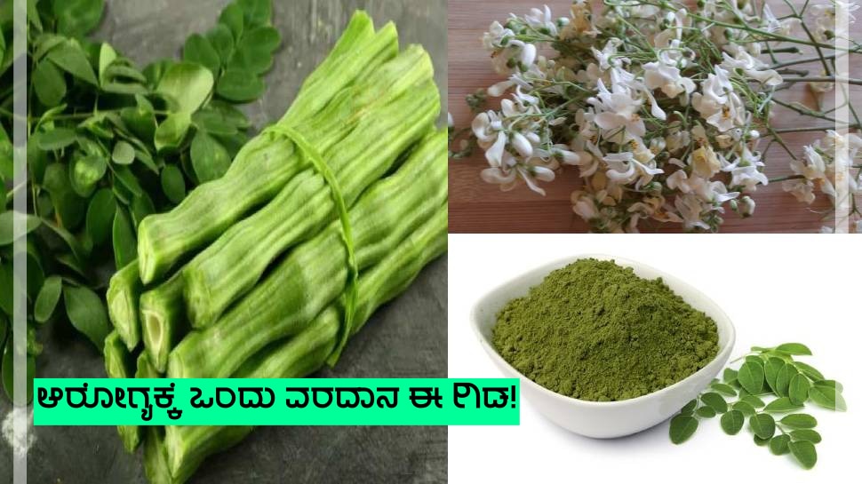 this tree is considered as a boon for both health and ayurveda ಆರೋಗ್ಯ