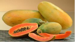Morning Fruit : ಬೆಳಿಗ್ಗೆ ಖಾಲಿ ಹೊಟ್ಟೆಯಲ್ಲಿ ಪಪ್ಪಾಯಿ ಸೇವಿಸಿ ಜೀವನದುದ್ದಕ್ಕೂ ಆರೋಗ್ಯವಾಗಿರಿ!