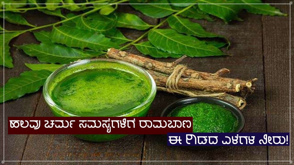 water of neem tree leaves is a sure shot home remedy for many health ailments ಹಲವು ಚರ್ಮ