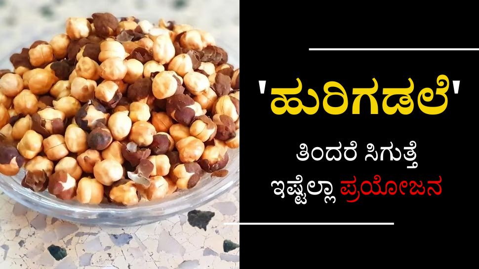Eating Roasted Grams In Empty Stomach May Give Lot Of Health Benefits eating-roasted-grams-in-empty-stomach-may-give-lot-of-health-benefits