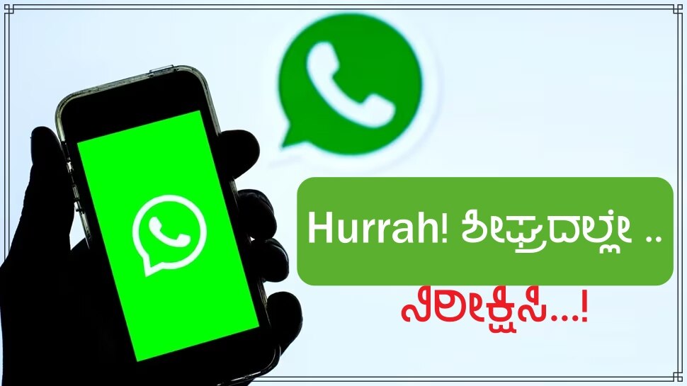 hurrah now nobudy will disturb you on WhatsApp as WhatsApp will be ...