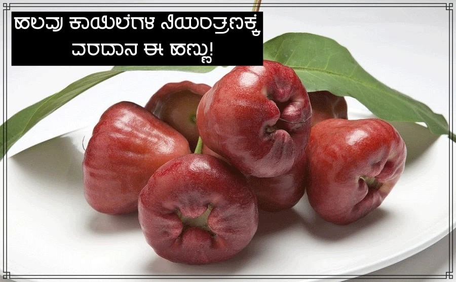 this fruit is a boon for the management of many health disorders ಹಲವು