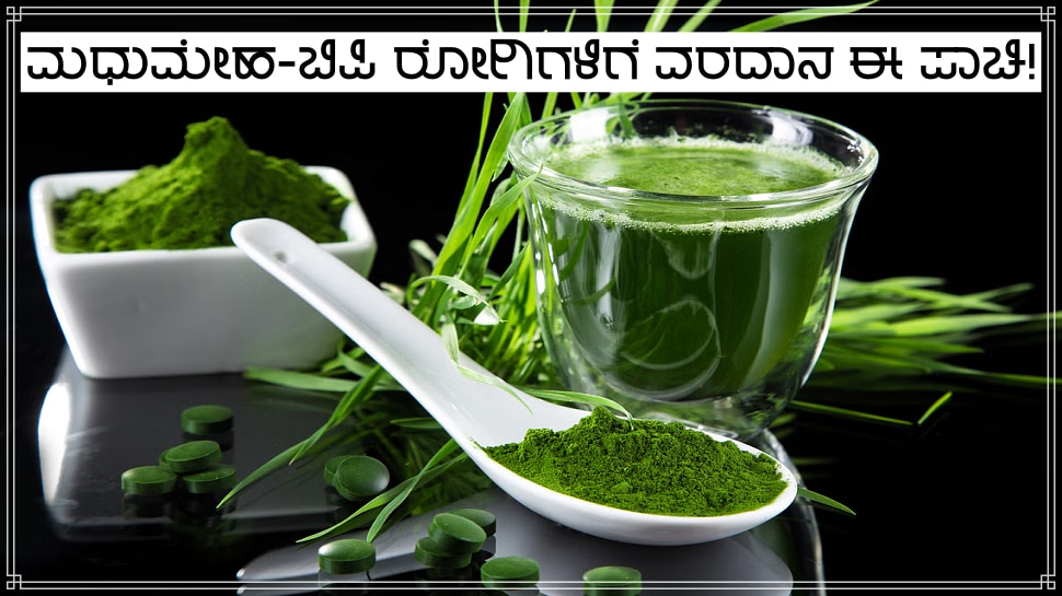 this algae has many health benefits including diabetics and high bp