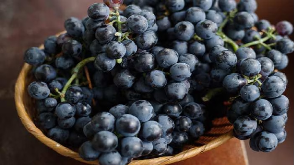 Health Tips Amazing Health Benefits of Black Grapes eating everyday
