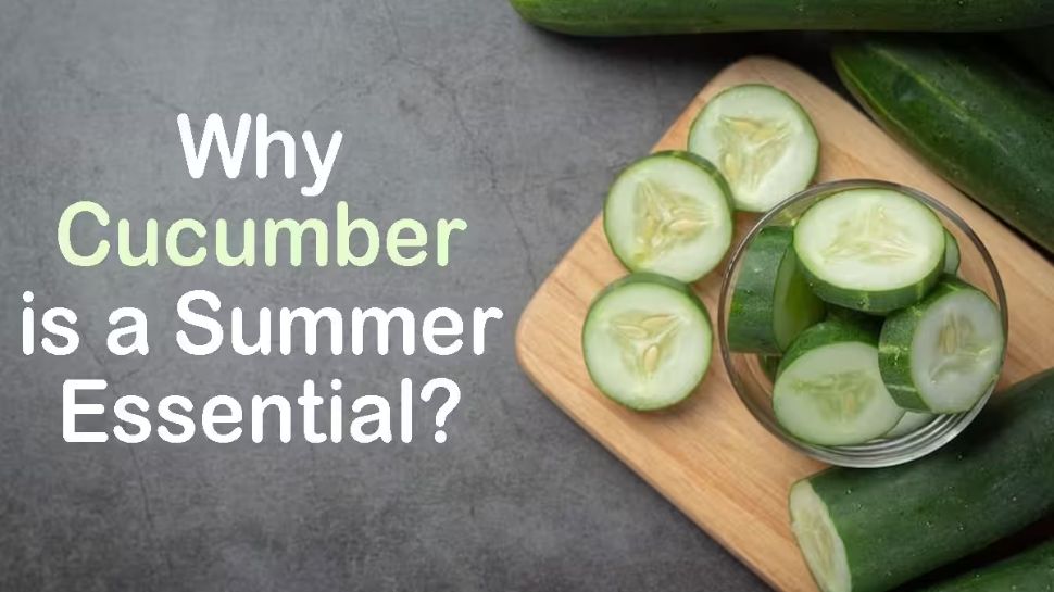 These are amazing benefits of eating cucumber in summer ಬೇಸಿಗೆಯಲ್ಲಿ