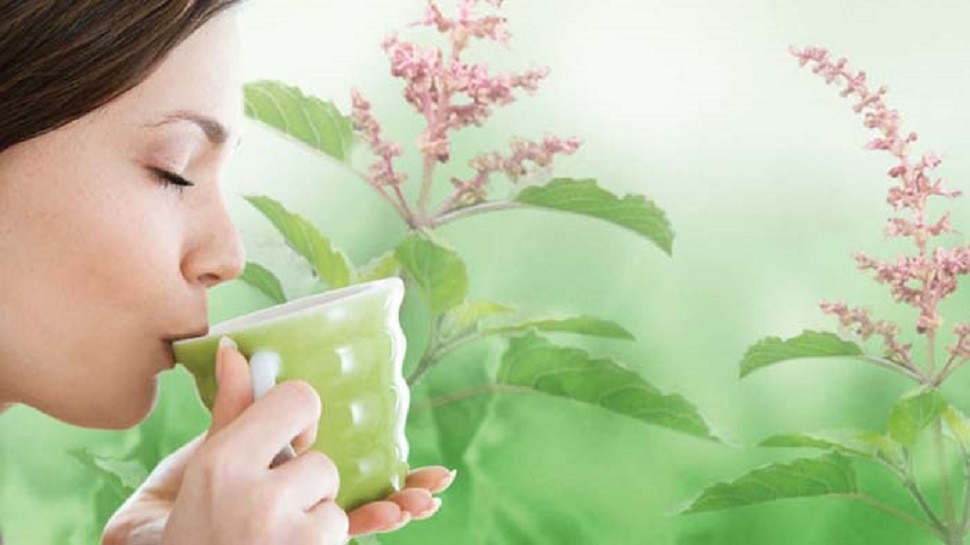Tulsi Milk Benefits: ಹಾಲಿನ ಜೊತೆ ಈ ಪವಿತ್ರ ಎಲೆಯನ್ನು ಬೆರೆಸಿ ಕುಡಿದರೆ ಮೈಗ್ರೇನ್ ಸಮಸ್ಯೆಯನ್ನು ಬುಡಸಮೇತ ಕಿತ್ತುಹಾಕಬಹುದು!