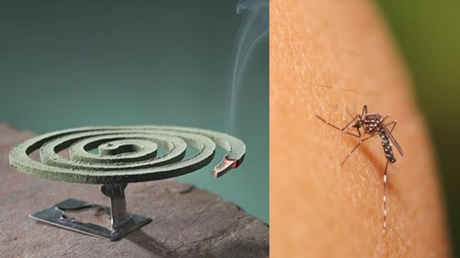Do you use mosquito repellent liquid? If you know the harm to your ...