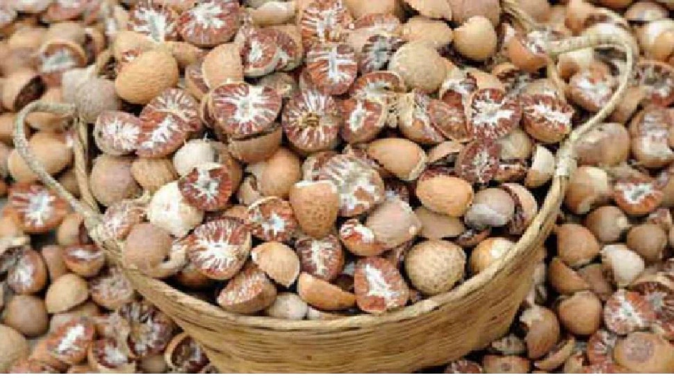 Arecanut today price: ರಾಜ್ಯದ ಮಾರುಕಟ್ಟೆಯಲ್ಲಿ ಇಂದಿನ ಅಡಿಕೆ ಧಾರಣೆ ಹೇಗಿದೆ ನೋಡಿ