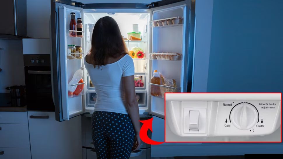 What Should Be The Temperature Of The Refrigerator In Summer   295228 Fridge Safety Tips 