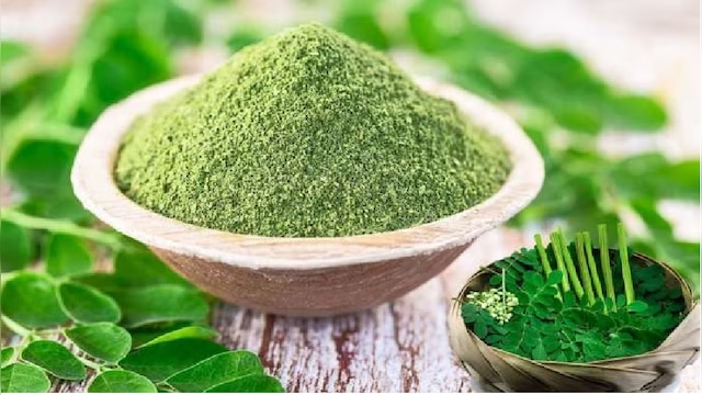 Health Tips: Amazing Health Benefits of Moringa Leaves | Moringa Leaves  Health Benefits: ನುಗ್ಗೆ ಸೊಪ್ಪಿನ ಅದ್ಭುತ ಆರೋಗ್ಯ ಪ್ರಯೋಜನಗಳು News in Kannada