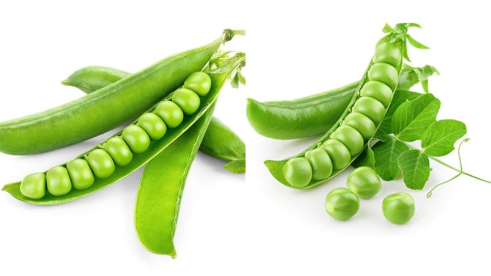 ಹಸಿರು ಬಟಾಣಿಗಳ ಆರೋಗ್ಯಕರ ಅದ್ಭುತ ಪ್ರಯೋಜನಗಳಿವು..! Health News in Kannada