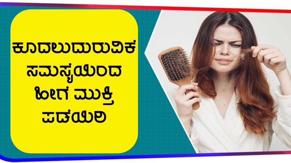Hair care tips Rose water for beautiful and strong hair  benefits of  Rose water for beautiful and strong hair care tips in kannada Pipa News   PiPa News
