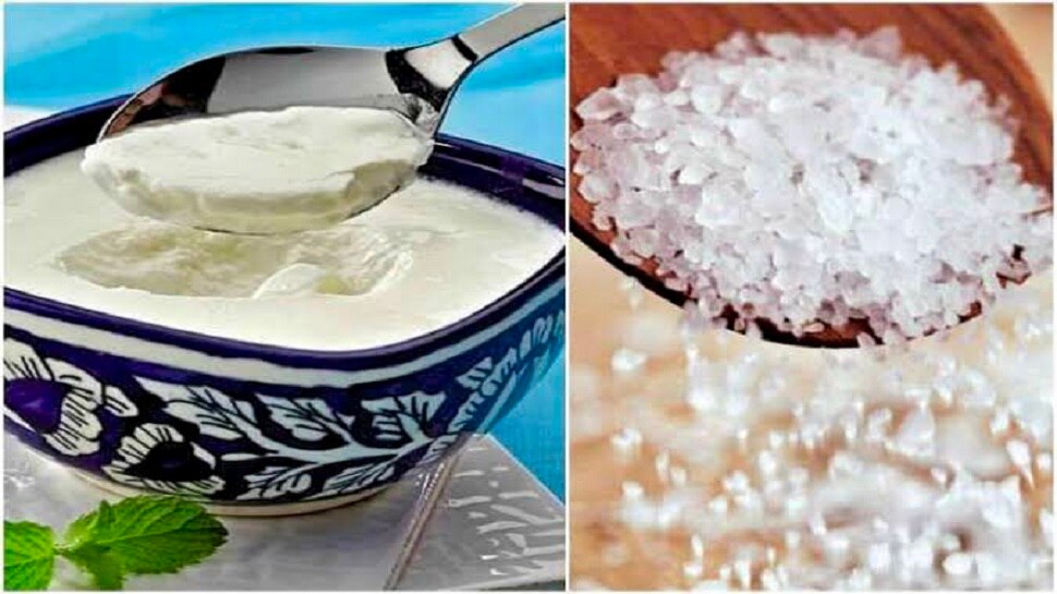 [Salt or sugar Curd with which is better for health! What do the