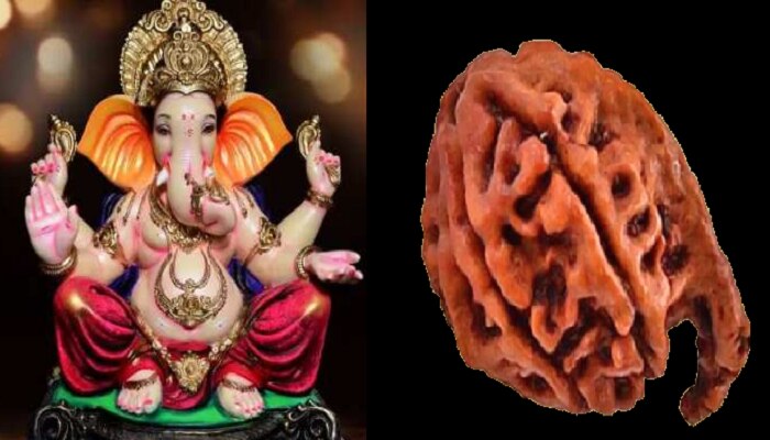 concentration problem in children try this remedy Rudraksh Benefits ...