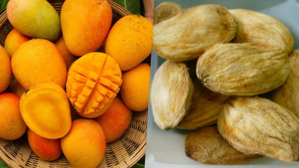 Mango seeds have so many health benefits ಮಾವಿನ ಗೊರಟದ ಲಾಭ ತಿಳಿದರೆ ತಪ್ಪಿಯೂ ಎಸೆಯಲ್ಲ.. ಈ ರೋಗಕ್ಕೆ