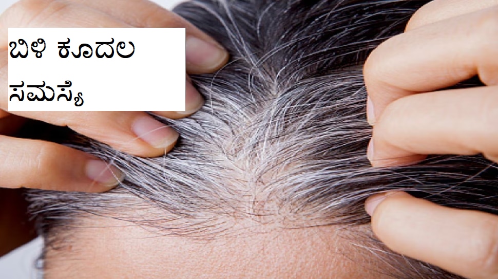 Hair Colour Why does hair color change from black to white? Know the