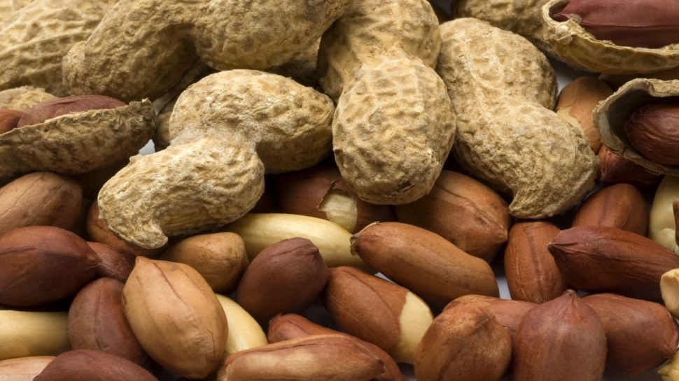 Roasted Rroundnuts Are Very Beneficial For Health Roasted Peanuts