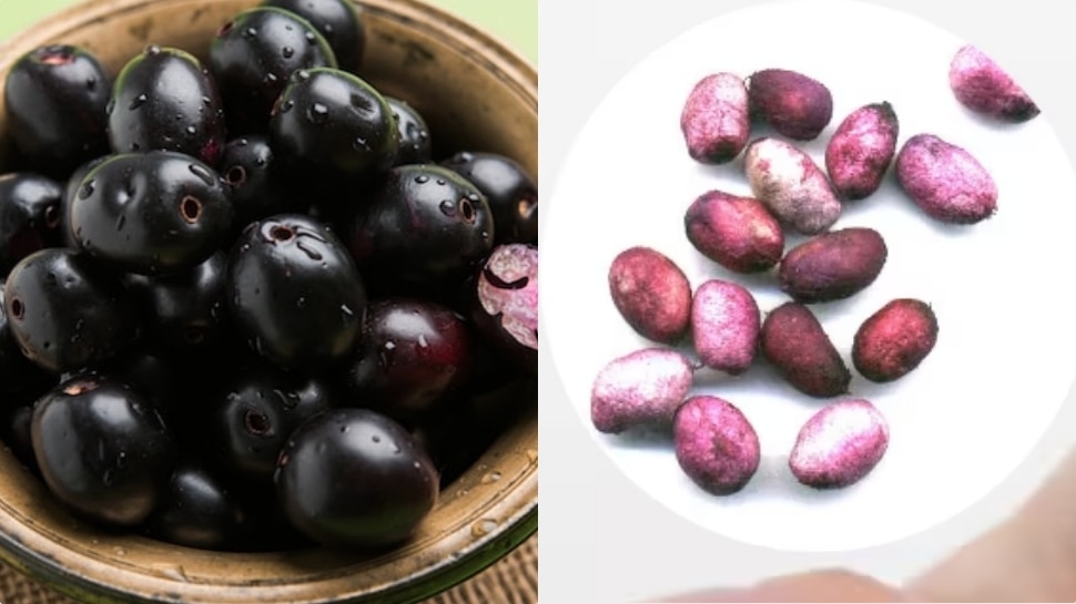 Health Properties Hidden In Blue Berry Fruit Seeds Blue Berry Seeds