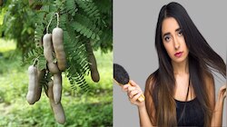 White Hair: ನ್ಯಾಚುರಲ್‌ ಆಗಿ ಬಿಳಿ ಕೂದಲನ್ನು ಕಪ್ಪಾಗಿಸಲು ಹುಣಸೆ ಎಲೆ ಹೀಗೆ ಬಳಸಿ