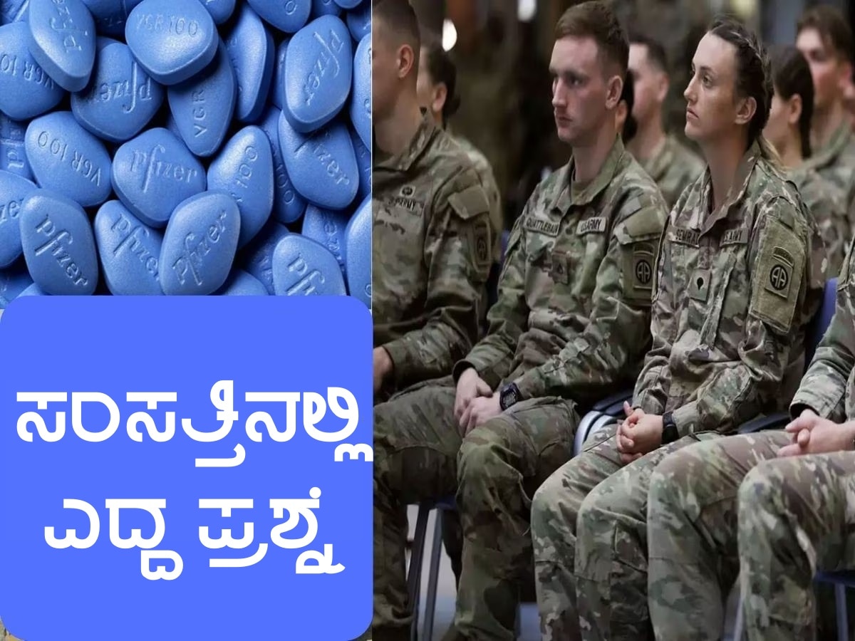 do you know how much us military spend to purchase viagra for its