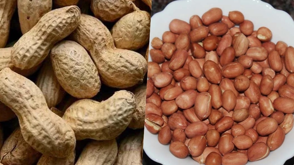 There Are Many Health Benefits Of Consuming Peanuts ಶೇಂಗಾ ಸೇವನೆಯಿಂದ