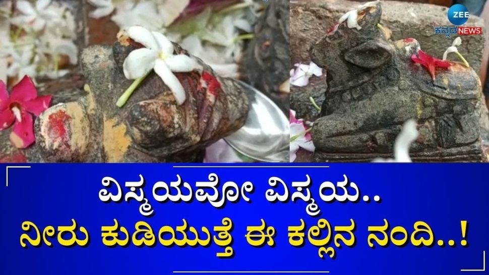 stone Nandi idol drinking Water A miracle in Bidar district ನೀರು