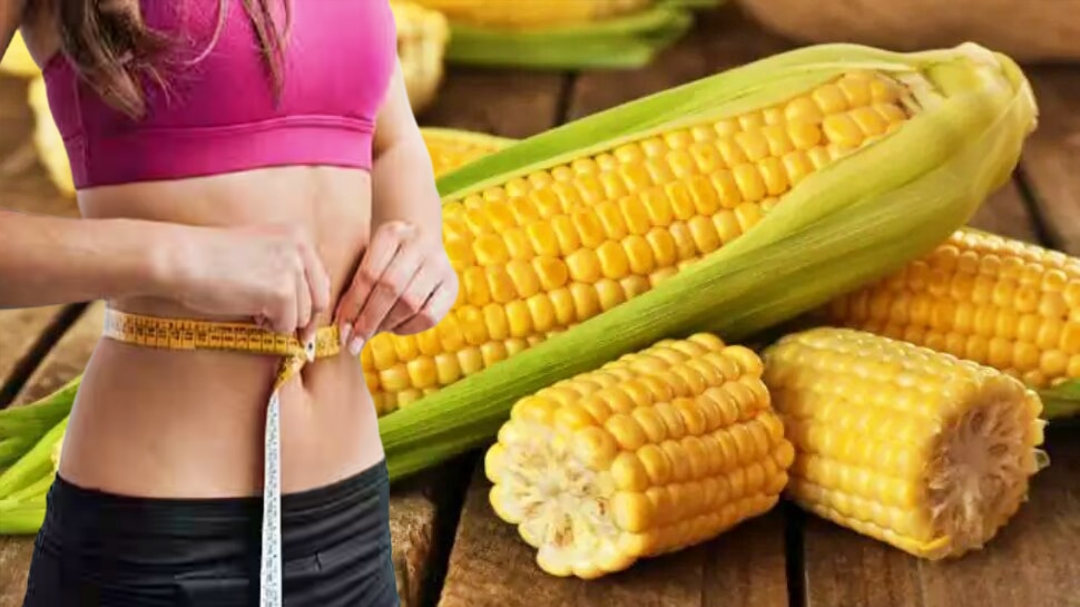 Sweet Corn reduces weight and has many health benefits ವೇಗವಾಗಿ ತೂಕ