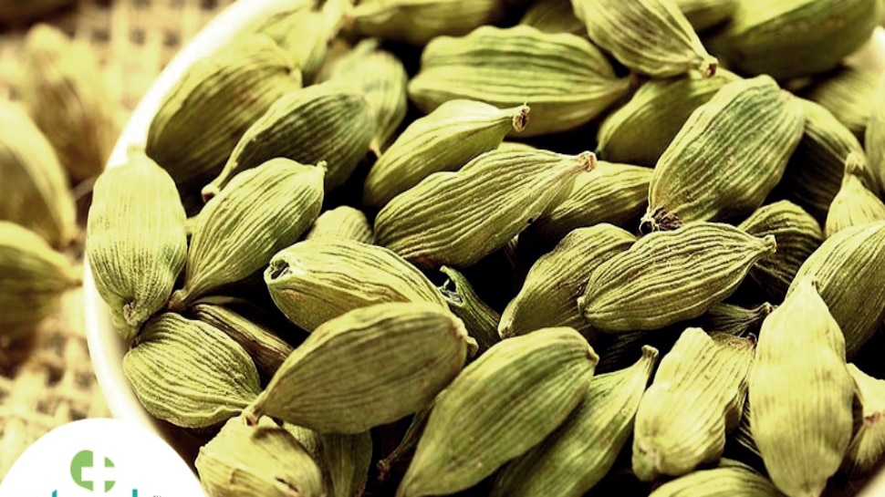 cardamom-is-a-good-medicine-for-many-diseases-elaichi-benefits