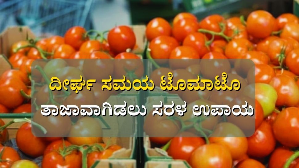 Here are the top five easy ways to keep tomatoes fresh longer