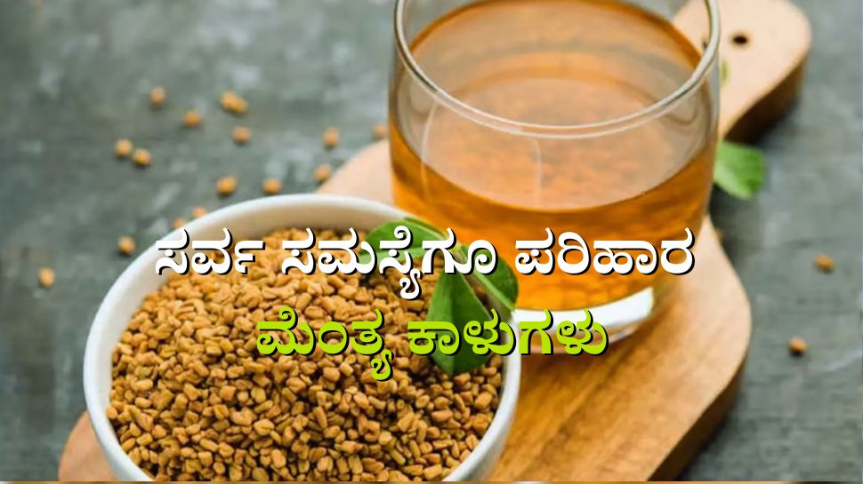 Use fenugreek seeds like this to get rid of all these problems ಈ