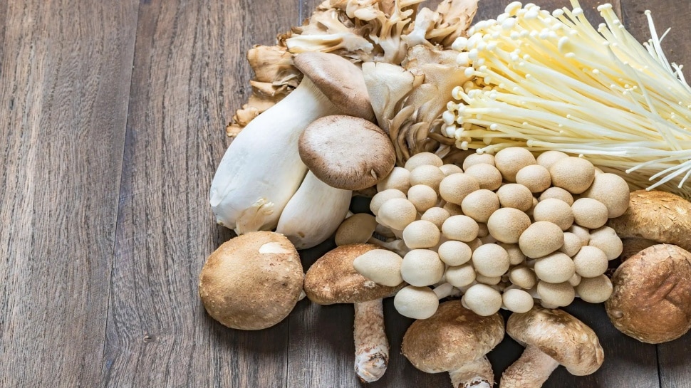 As mushroom is a boon for diabetics...know about its health benefits