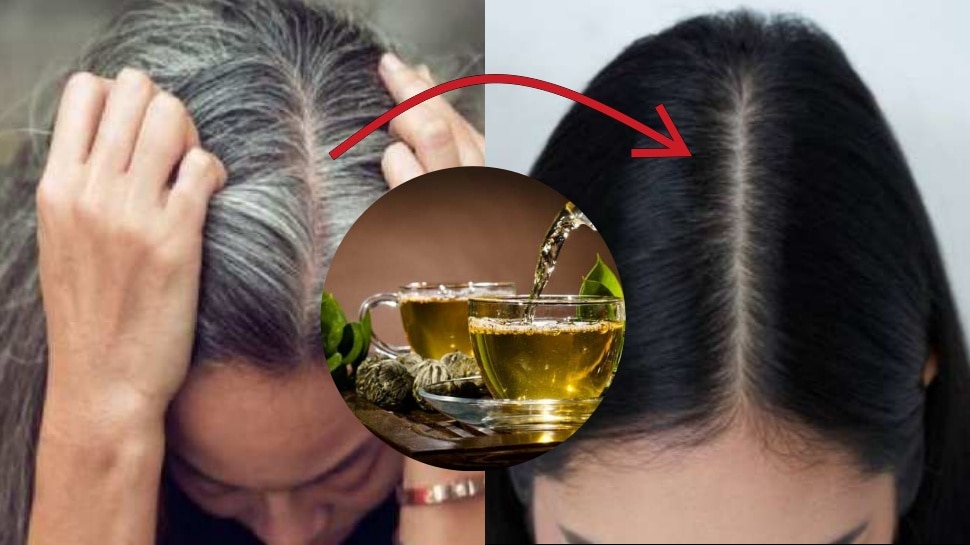 Green Tea Turns White Hair into Black in 8 Days ಗ್ರೀನ್ ಟೀ 8 ದಿನಗಳಲ್ಲಿ
