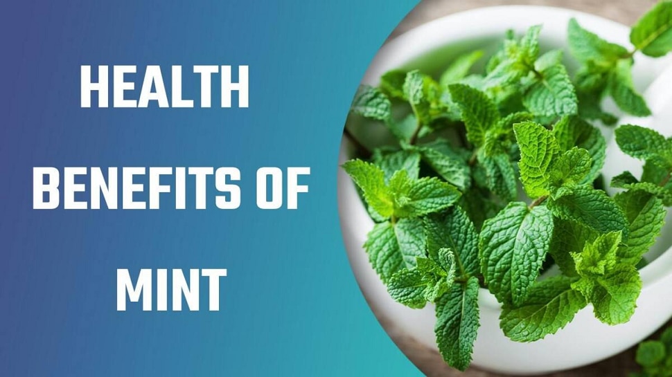 Health Tips Amazing Health Benefits of Peppermint eating everyday