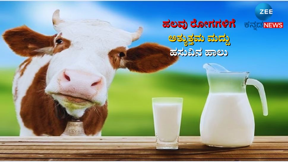 Here are the top 5 health benefits of consuming cow milk ಆರೋಗ್ಯಕ್ಕೆ