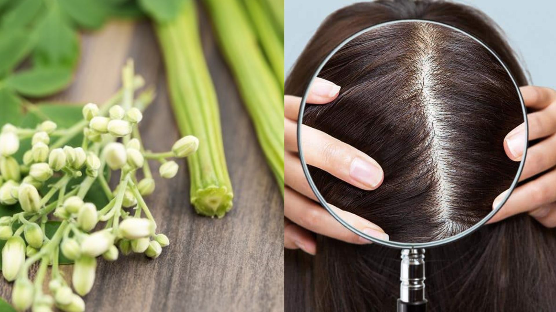 Lettuce uses to hair growth ಈ ಸೊಪ್ಪು ನಿಮ್ಮ ಕೂದಲಿಗೆ ಮಾಡುವುದು ಮ್ಯಾಜಿಕ್