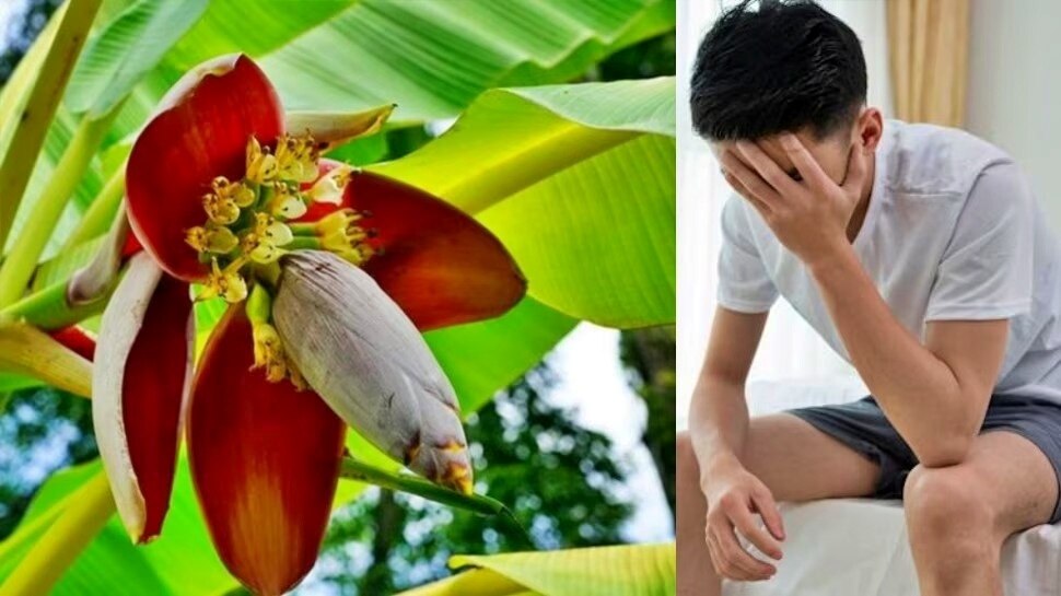Banana Flower for men's health and uses of banana flower in kannada
