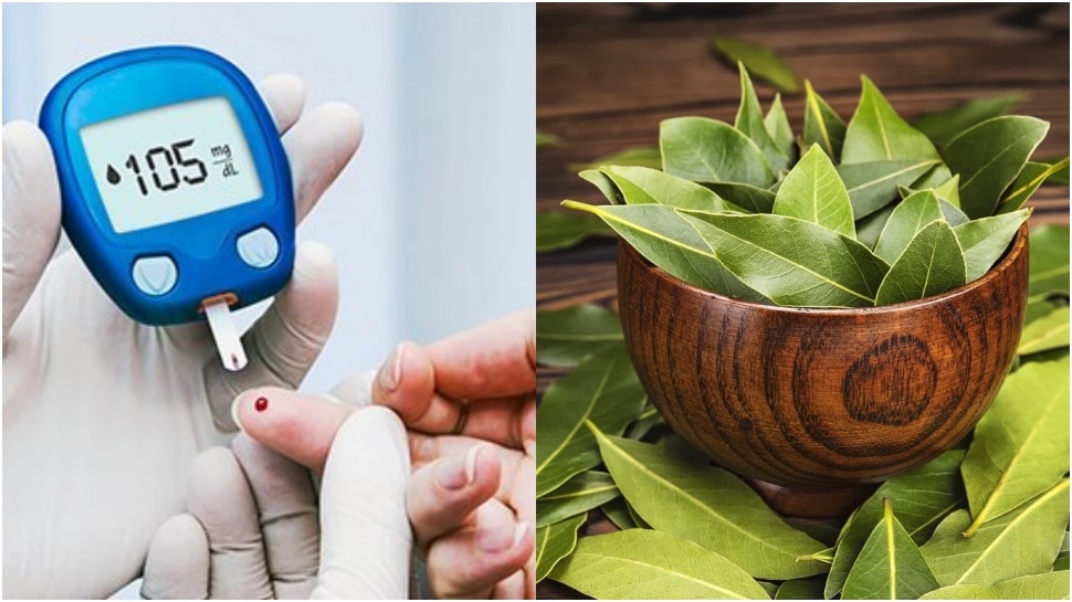 bay leaf for kidney stone and diabetes ಕಿಡ್ನಿ ಸ್ಟೋನ್‌ನಿಂದ