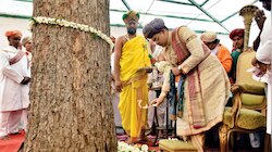 ವಿಜಯದಶಮಿಯಂದು ʼಬನ್ನಿ ಮರʼದ ಪೂಜೆ ಮಾಡ್ತಾರೆ ಏಕೆ ಗೊತ್ತಾ..? ರೋಚಕ ಕತೆ ಇಲ್ಲಿದೆ