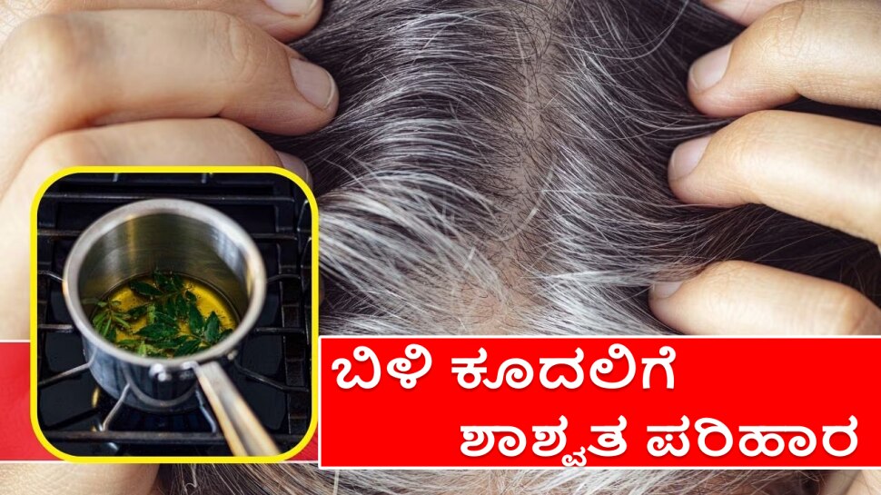 Mustard oil with Aloe Vera Gel magical oil turns white hair black permanently ಬಿಳಿ ಕೂದಲನ್ನು