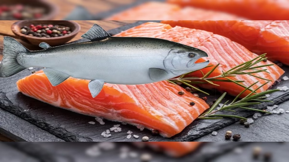 here is the Salmon Fish Eating Benefits ನೀವು ಸಾಲ್ಮನ್ ಮೀನನ್ನು