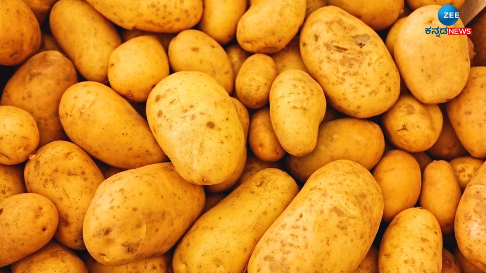 Do you know why potatoes should not be eaten in large quantities