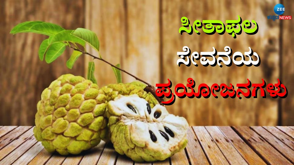 ಕಸ್ಟರ್ಡ್ ಆಪಲ್  ಸೇವನೆಯಿಂದ ಆರೋಗ್ಯಕ್ಕಿದೆ ಇಷ್ಟೆಲ್ಲಾ ಪ್ರಯೋಜನ 