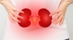 oil for healthy kidney : ಕಿಡ್ನಿ ಆರೋಗ್ಯವಾಗಿರಬೇಕಾದರೆ ಈ ಎಣ್ಣೆಯನ್ನೇ ಬಳಸಬೇಕು !