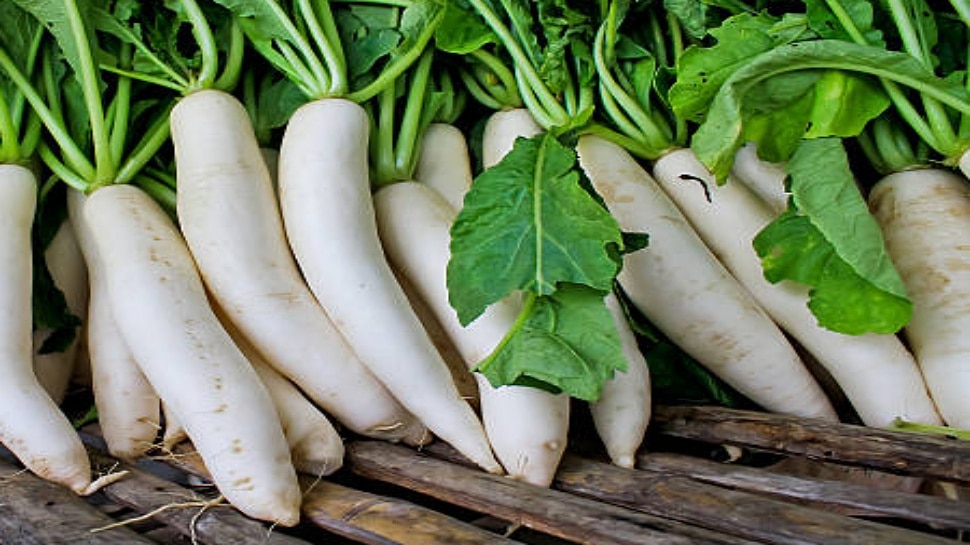 Radish health benefits for skin ಮೂಲಂಗಿ ಆರೋಗ್ಯ ಪ್ರಯೋಜನಗಳು Health News