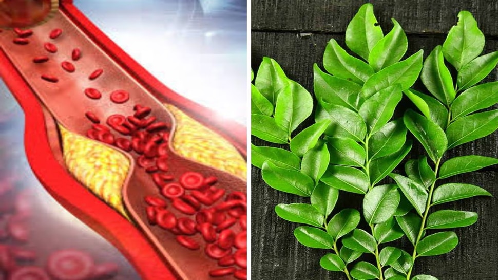 Medicinal Effects How much do you know about these five leaves with medicinal effects ...