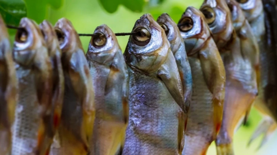 Health benefits of eating dry fish in kannada ಒಣ ಮೀನು ತಿನ್ನುವುದರಿಂದ