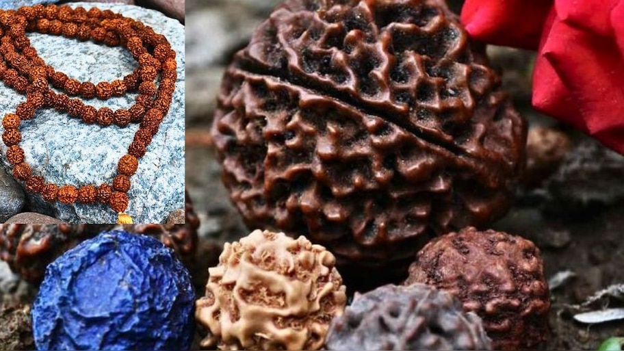 Rudraksha Benefits: Will you be shocked to know the benefits of wearing ...